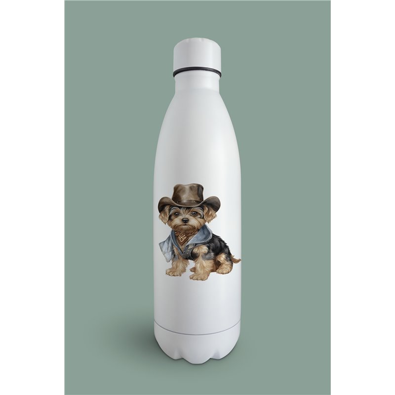 Insulated Bottle  - yt 42