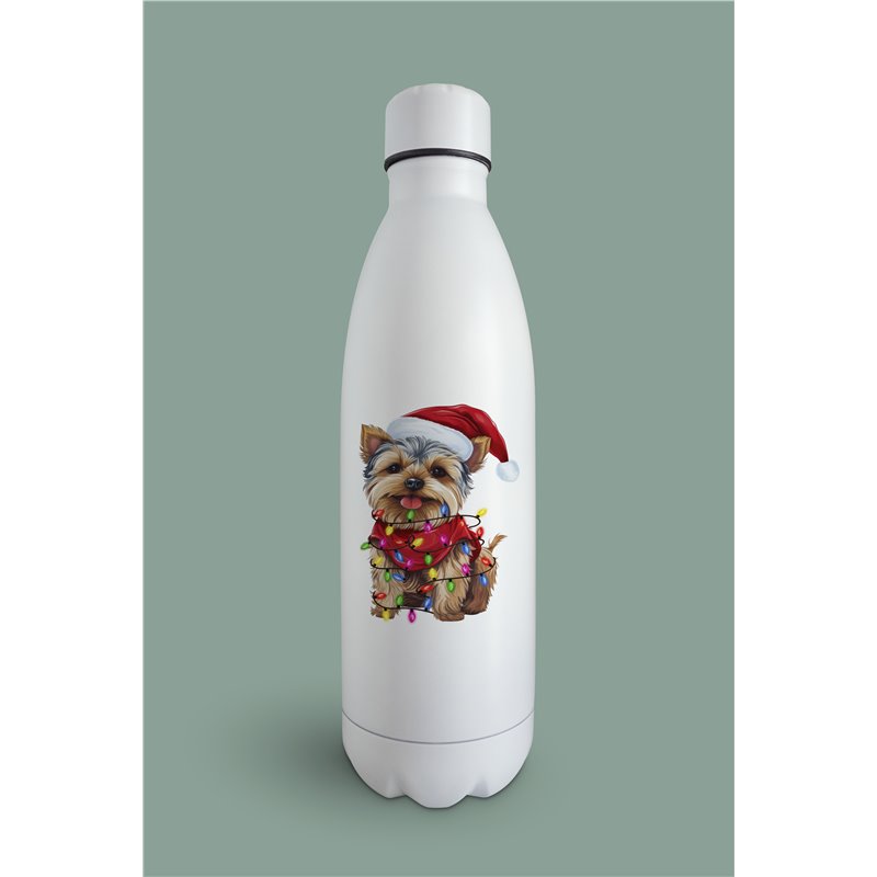 Insulated Bottle  - yt 43