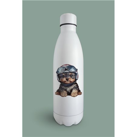 Insulated Bottle  - yt 44