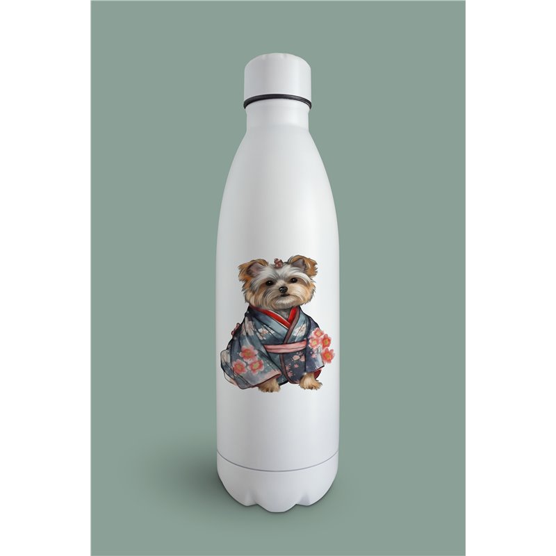 Insulated Bottle  - yt 45