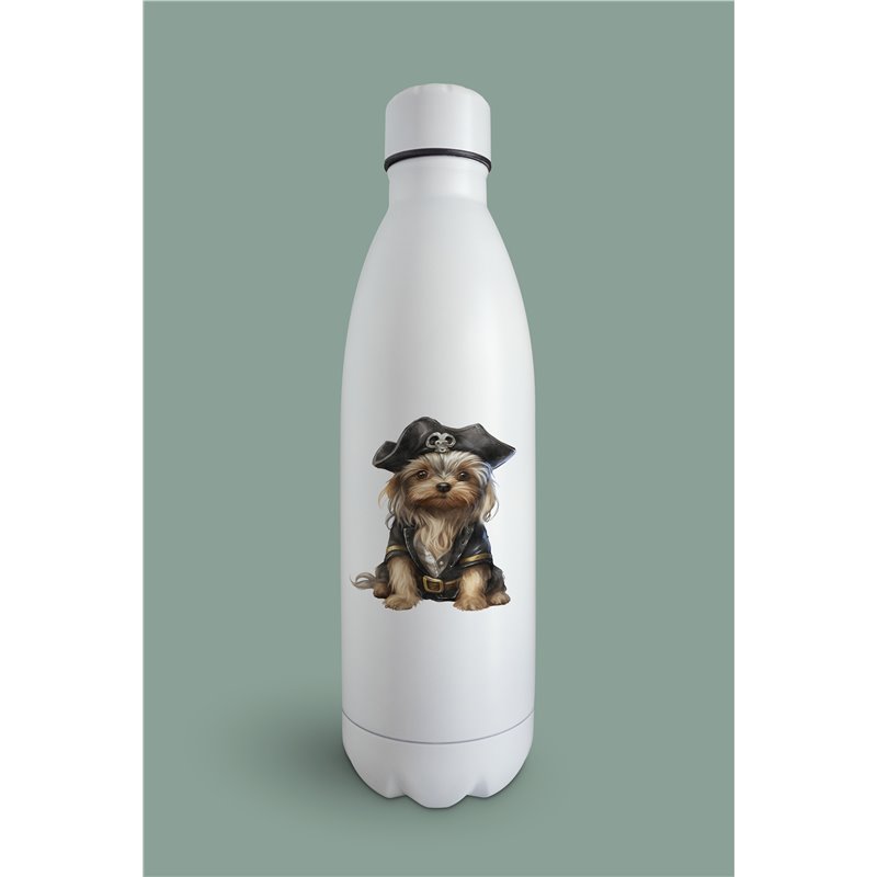 Insulated Bottle  - yt 46