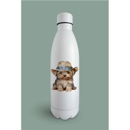 Insulated Bottle  - yt 47