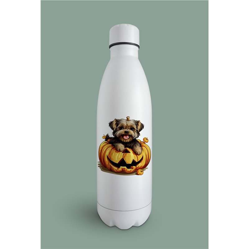 Insulated Bottle  - yt 49