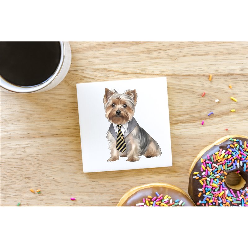 Ceramic Tile Coaster/ Trivet - yt 6