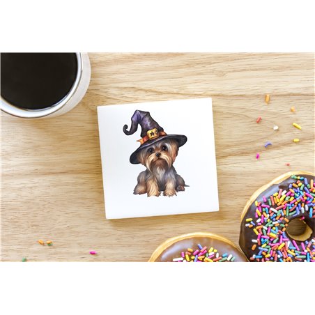 Ceramic Tile Coaster/ Trivet - yt 26