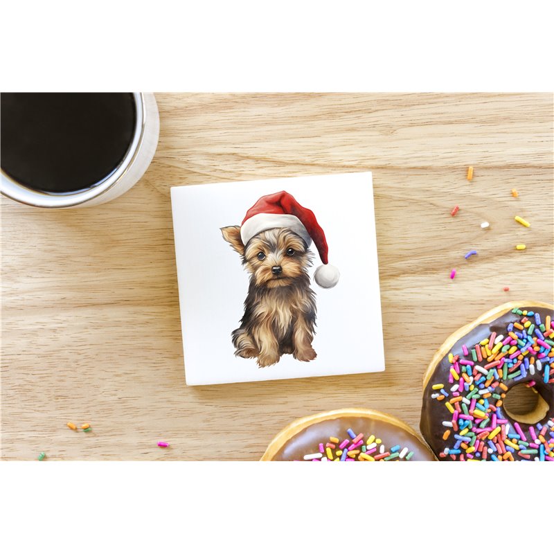 Ceramic Tile Coaster/ Trivet - yt 28