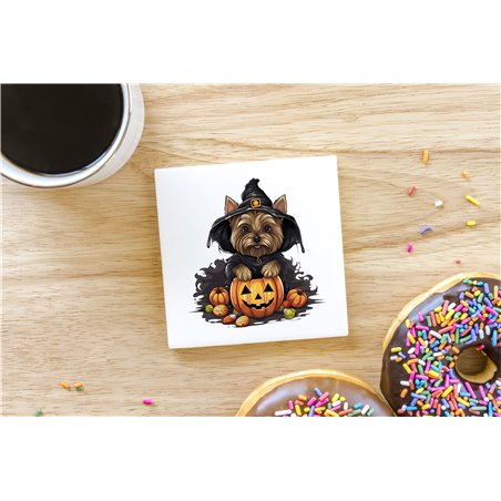 Ceramic Tile Coaster/ Trivet - yt 35