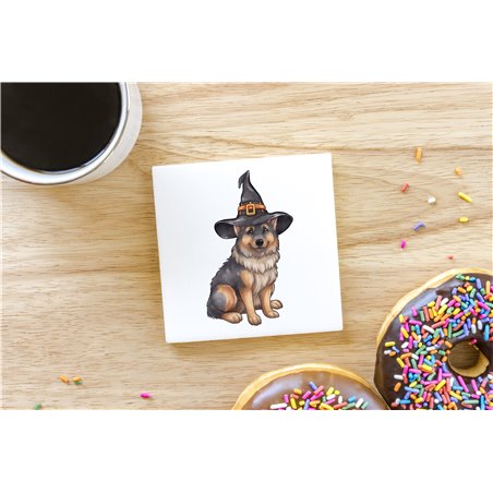 Ceramic Tile Coaster/ TrivetGS(26)