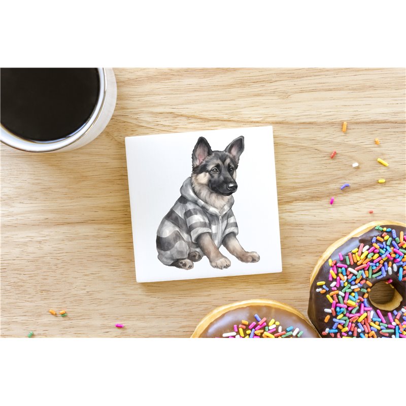 Ceramic Tile Coaster/ TrivetGS(27)