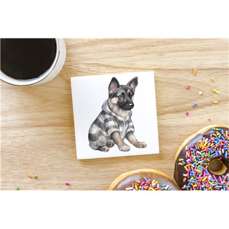 Ceramic Tile Coaster/ TrivetGS(27)