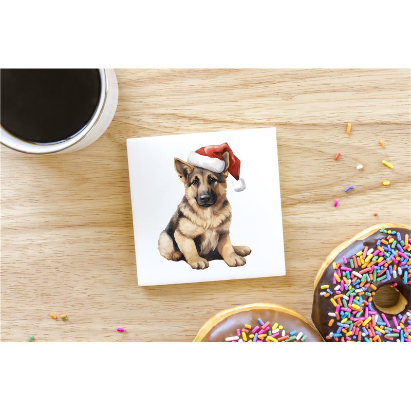 Ceramic Tile Coaster/ TrivetGS(28)