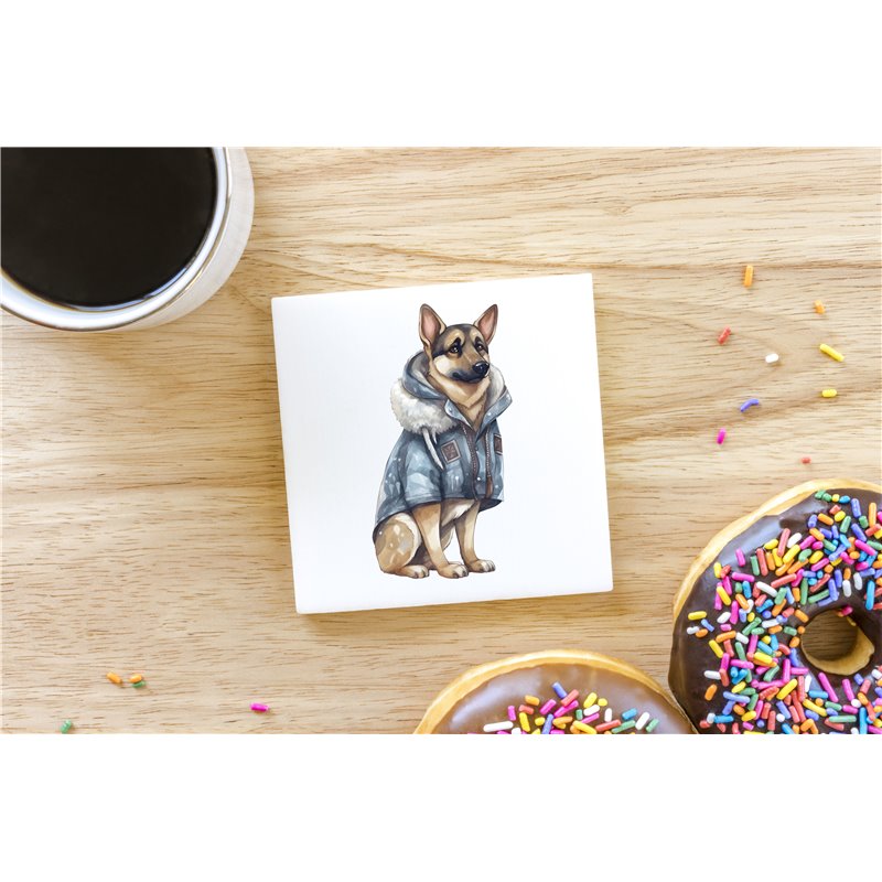 Ceramic Tile Coaster/ TrivetGS(29)