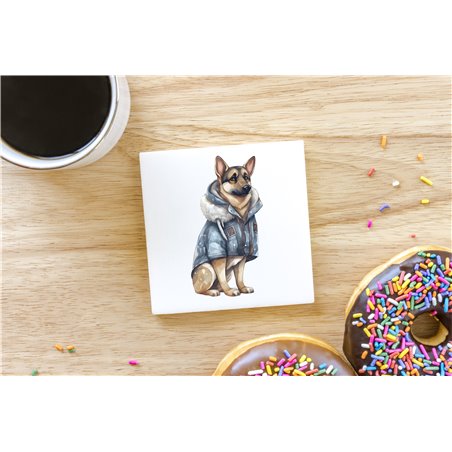 Ceramic Tile Coaster/ TrivetGS(29)