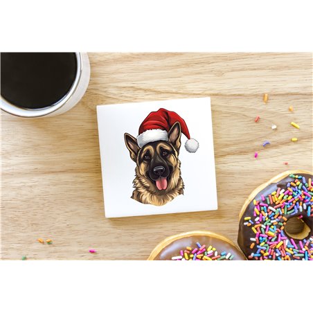 Ceramic Tile Coaster/ TrivetGS(31)