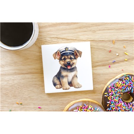 Ceramic Tile Coaster/ TrivetGS(33)