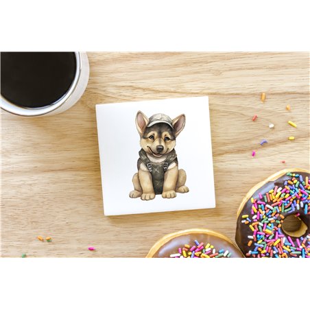 Ceramic Tile Coaster/ TrivetGS(34)