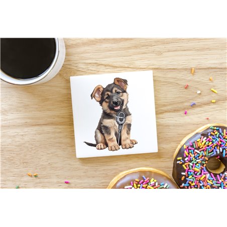 Ceramic Tile Coaster/ TrivetGS(35)