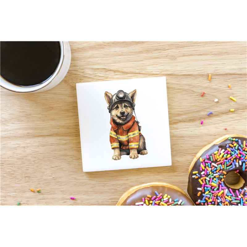 Ceramic Tile Coaster/ TrivetGS(37)