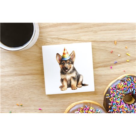 Ceramic Tile Coaster/ TrivetGS(38)