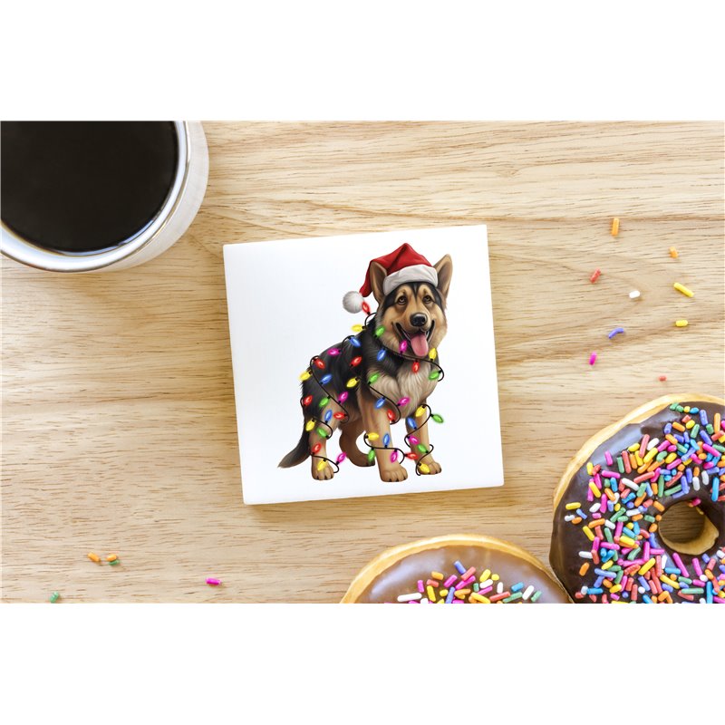 Ceramic Tile Coaster/ TrivetGS(39)