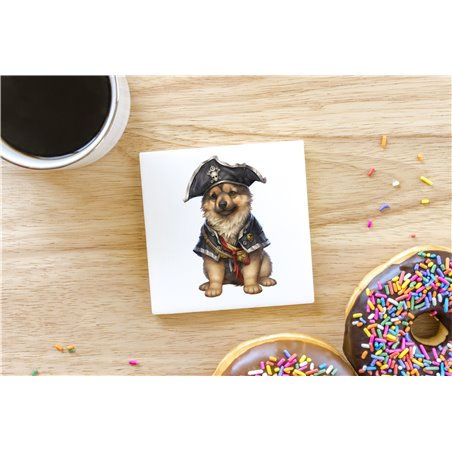 Ceramic Tile Coaster/ TrivetGS(42)