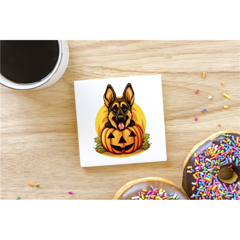 Ceramic Tile Coaster/ TrivetGS(44)