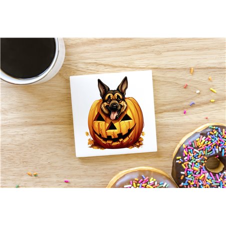 Ceramic Tile Coaster/ TrivetGS(45)