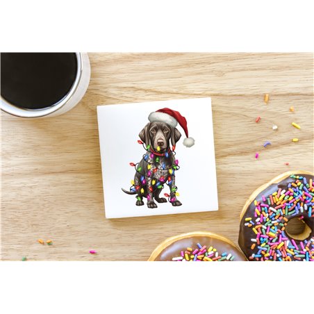 Ceramic Tile Coaster/ TrivetGS(47)