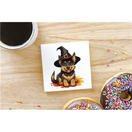 Ceramic Tile Coaster/ TrivetGS(49)