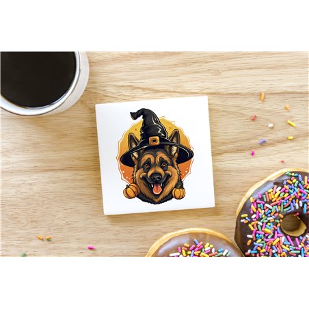 Ceramic Tile Coaster/ TrivetGS(51)