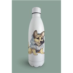 Insulated Bottle GS(10)