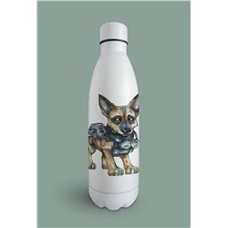 Insulated Bottle GS(12)