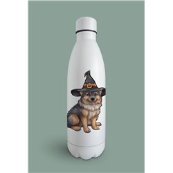 Insulated Bottle GS(14)
