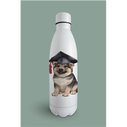 Insulated Bottle GS(15)