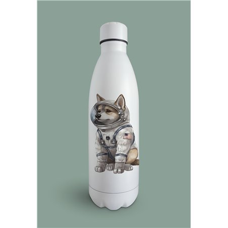 Insulated Bottle GS(21)