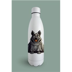 Insulated Bottle GS(27)