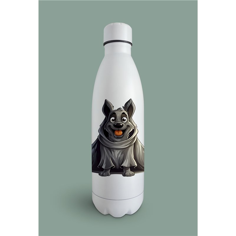 Insulated Bottle GS(27)