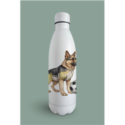 Insulated Bottle GS(30)