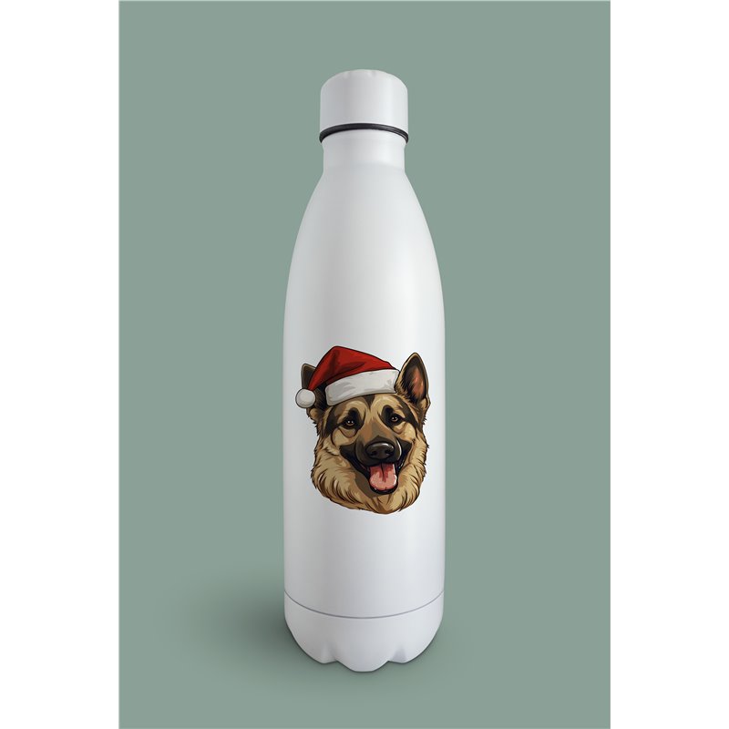Insulated Bottle GS(33)