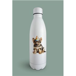Insulated Bottle GS(39)