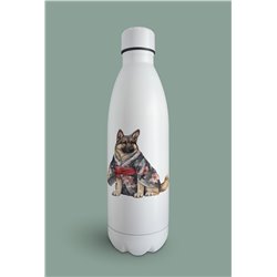 Insulated Bottle GS(42)