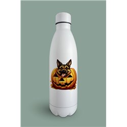 Insulated Bottle GS(46)