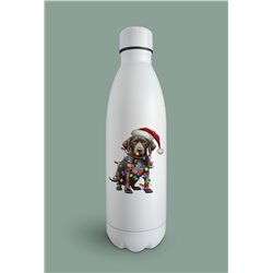 Insulated Bottle GS(48)