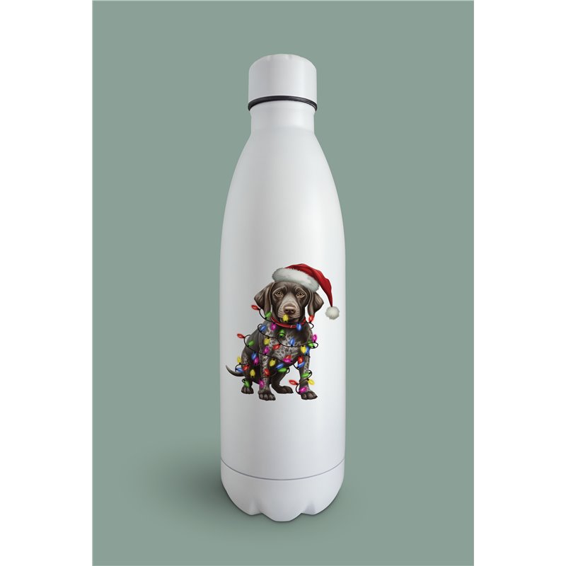 Insulated Bottle GS(48)