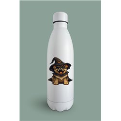 Insulated Bottle GS(49)