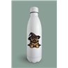 Insulated Bottle GS(49)