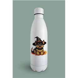 Insulated Bottle GS(50)