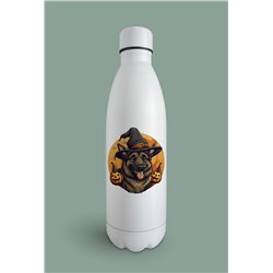 Insulated Bottle GS(51)