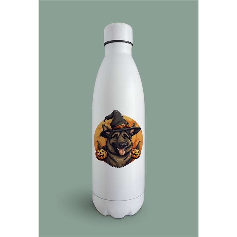 Insulated Bottle GS(51)