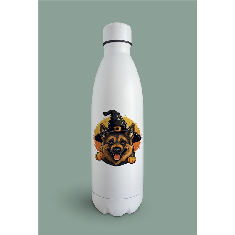Insulated Bottle GS(52)